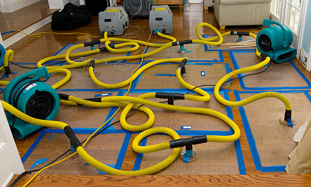 Professional Crawl Space Water Removal technician working in Lake Forest, IL